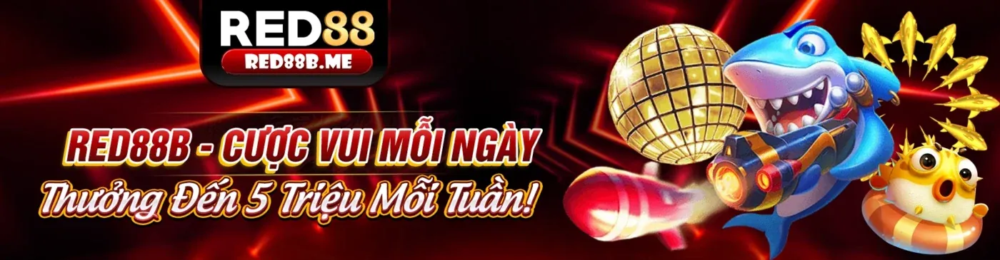 Điều khoản và Điều kiện 88clb88